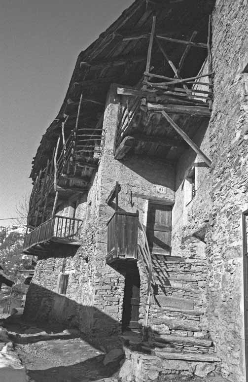 immagine MORINESIO