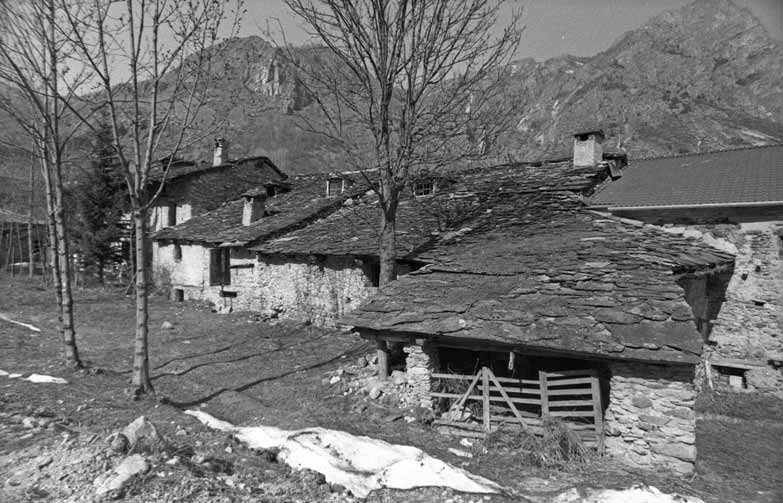 immagine ACCEGLIO OLTRE MAIRA