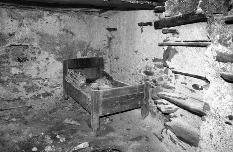 immagine COLOMBERO