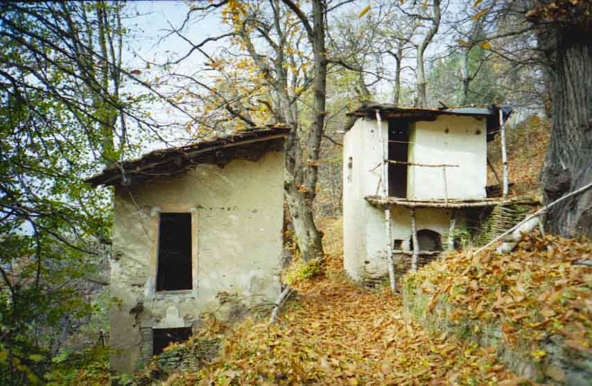 immagine FONTANA ASINO