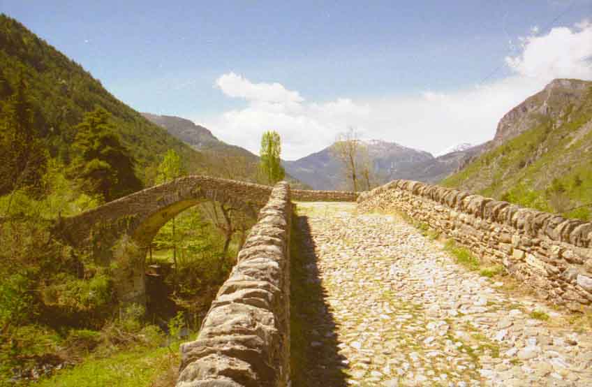 immagine BRIGUE