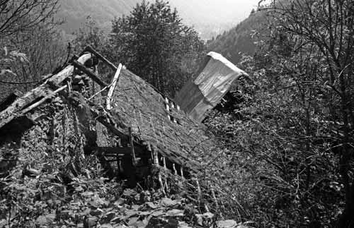 immagine TETTI BARIAU
