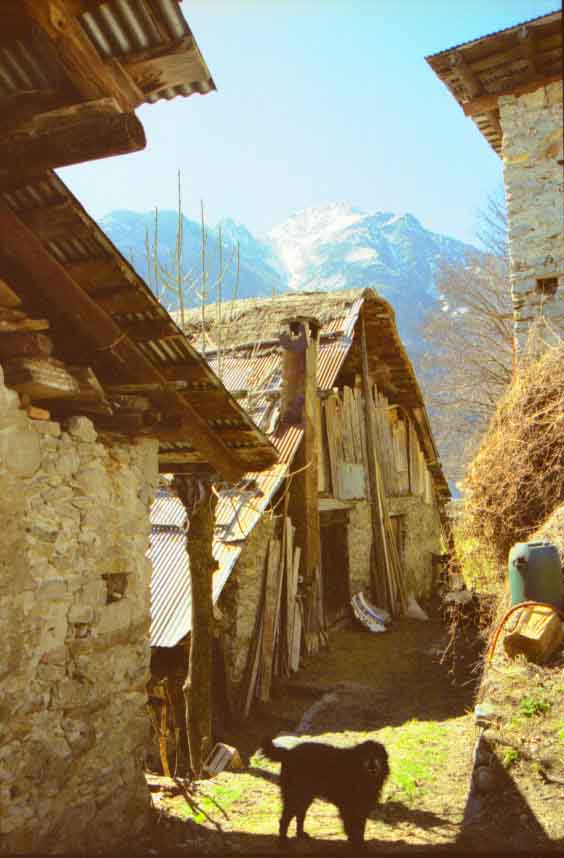 immagine ADRECH