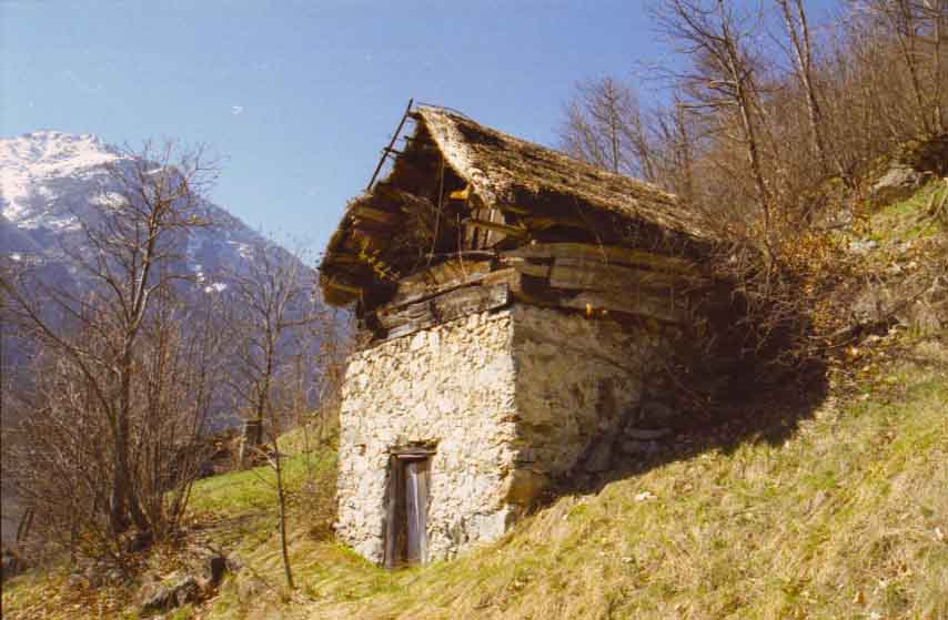 immagine ADRECH