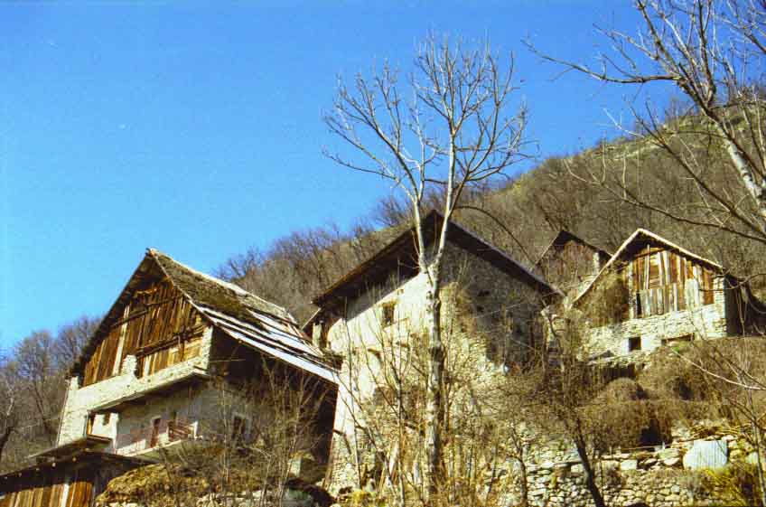 immagine ADRECH