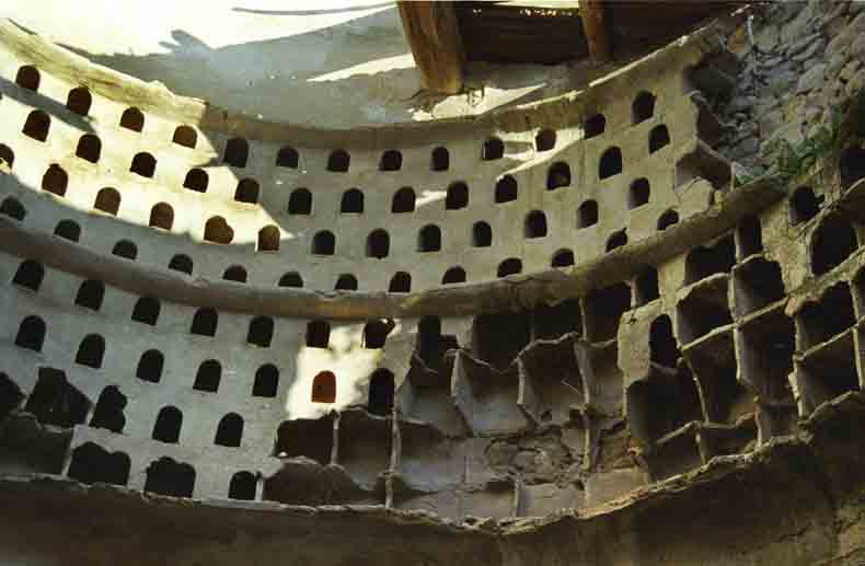 immagine COLOMBAIA PUYRICARD
