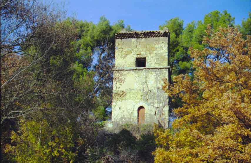 immagine TOUR D'AYGOSY