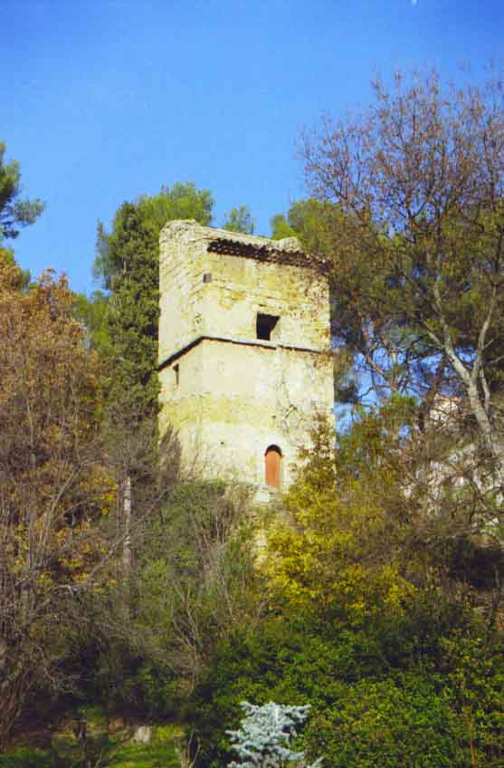 immagine TOUR D'AYGOSY