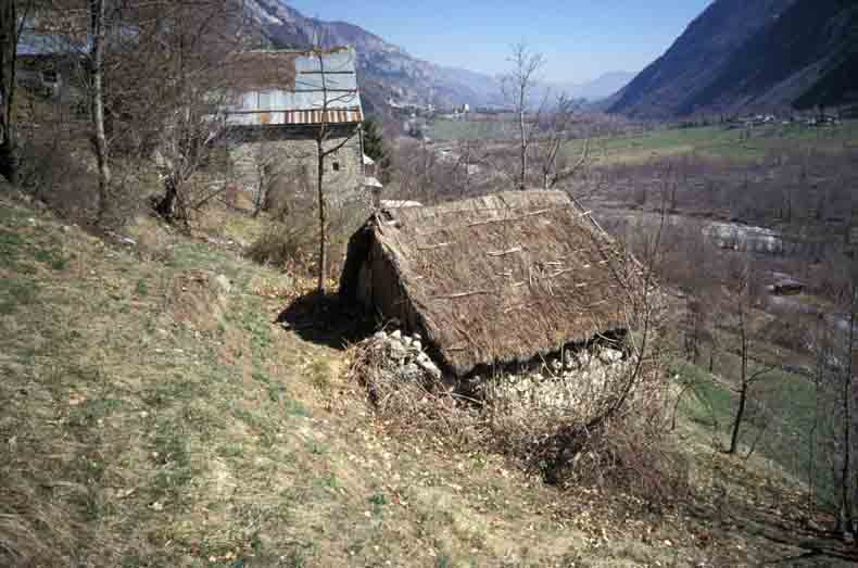 immagine ADRECCHIO