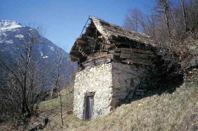 immagine ADRECCHIO