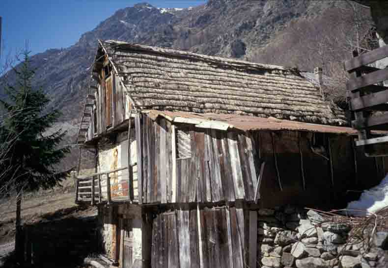 immagine TETTI DI TROCELLO