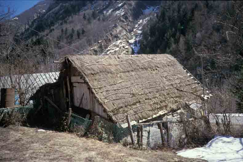 immagine TETTI DI TROCELLO