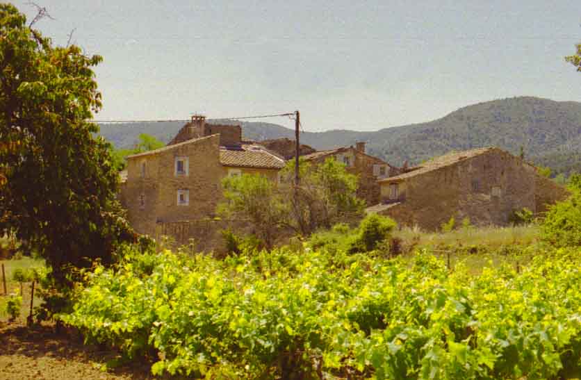 immagine LES MINGUETS - MENERBES