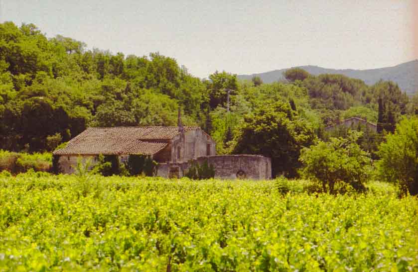 immagine MENERBES - LES MINGUETS