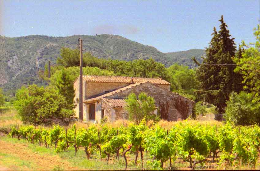 immagine MENERBES - LES MINGUETS