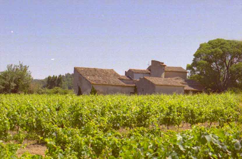 immagine LES MINGUETS