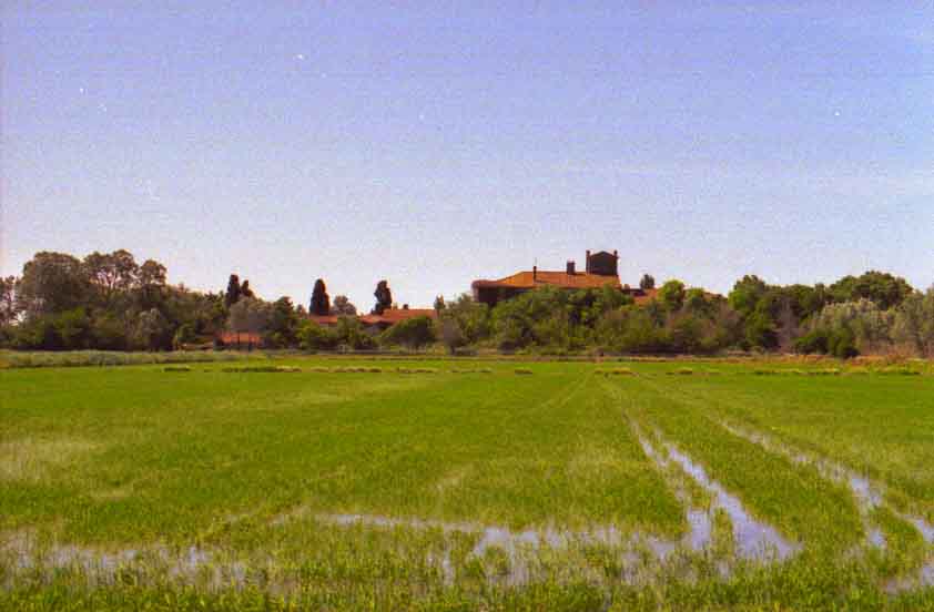 immagine MAS DE SIGNORET