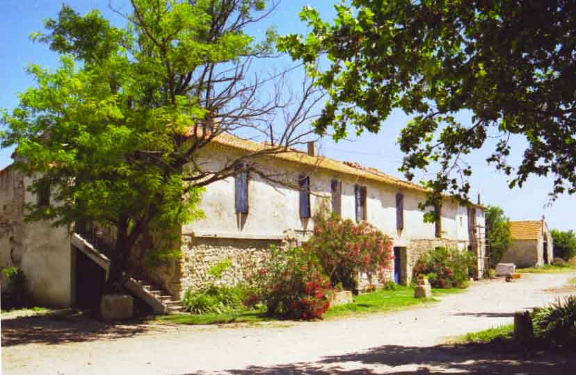 immagine MAS DE LA CABASSOLLE