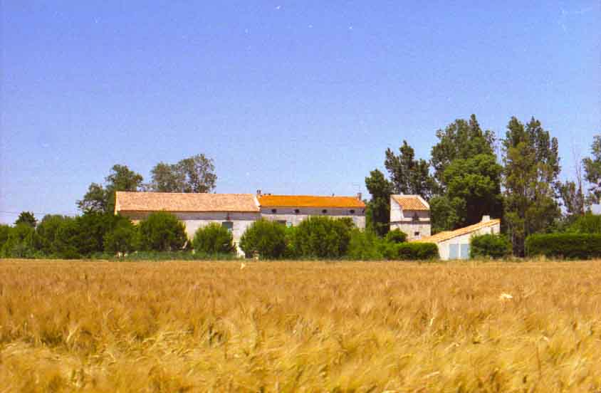 immagine MAS DE MILLET NORD