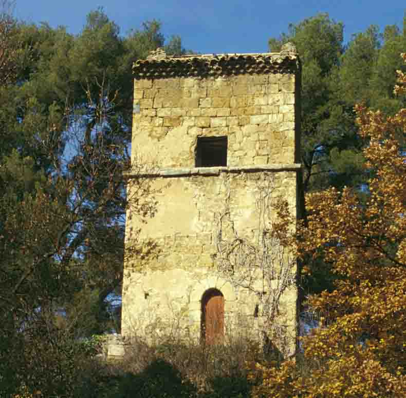 immagine TOUR D'AYGOSI