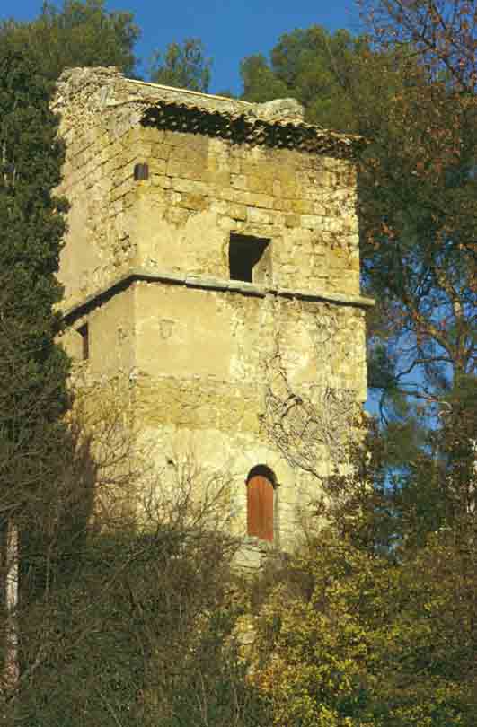immagine TOUR D'AYGOSI