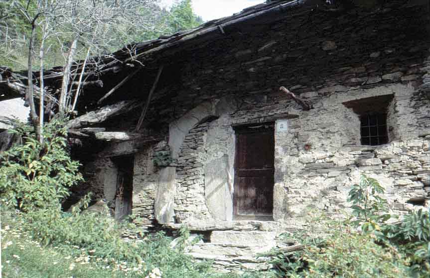 immagine GARZINO