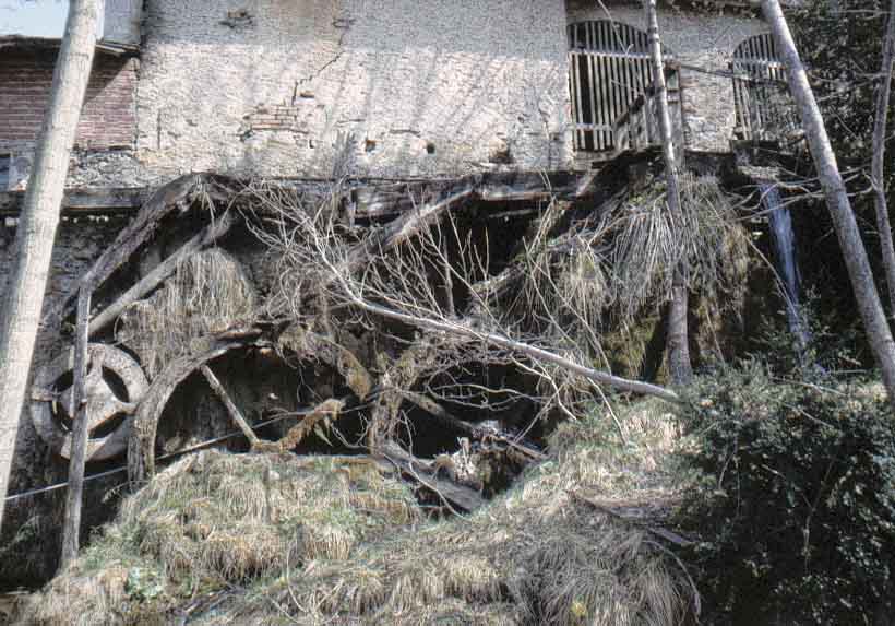 immagine esempio