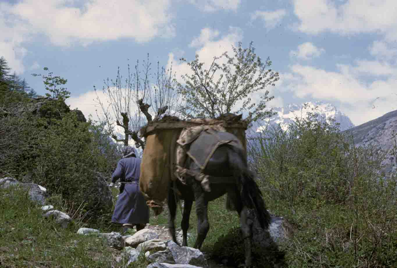 immagine esempio