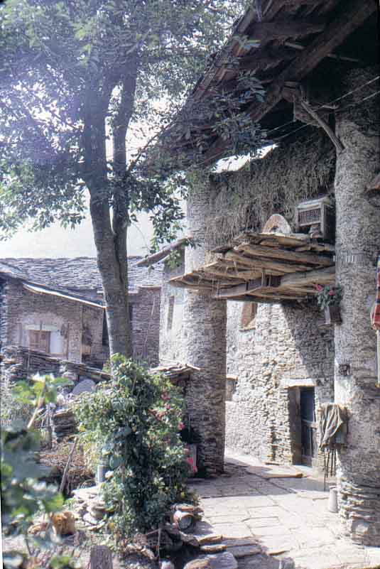 immagine esempio