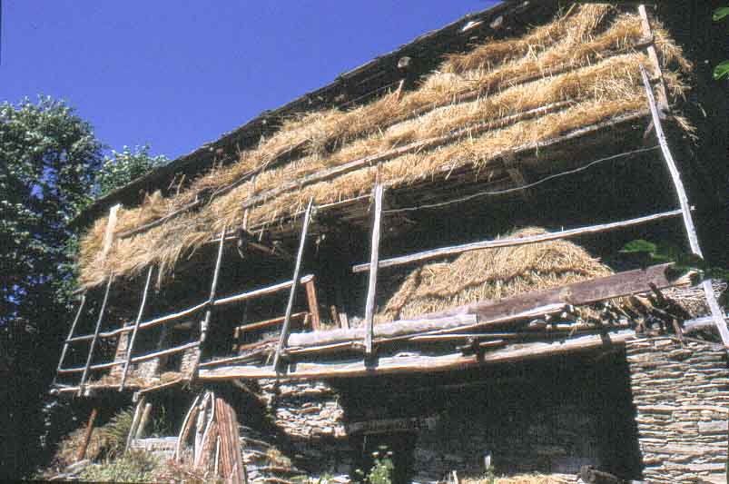 immagine esempio