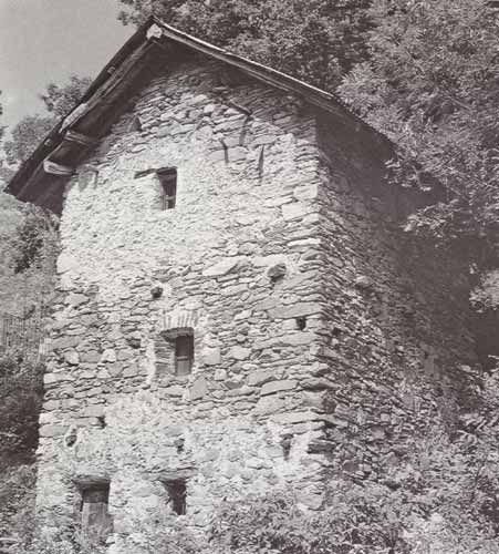 immagine LIMONE