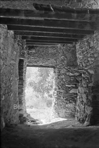 ARMELLINA  FOTO BELLONE