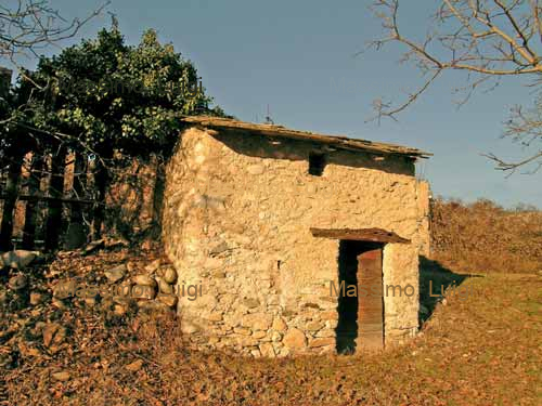VIGNETI TRA ROCCABRUNA E DRONERO