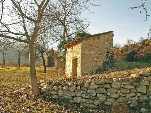 VIGNETI TRA ROCCABRUNA E DRONERO