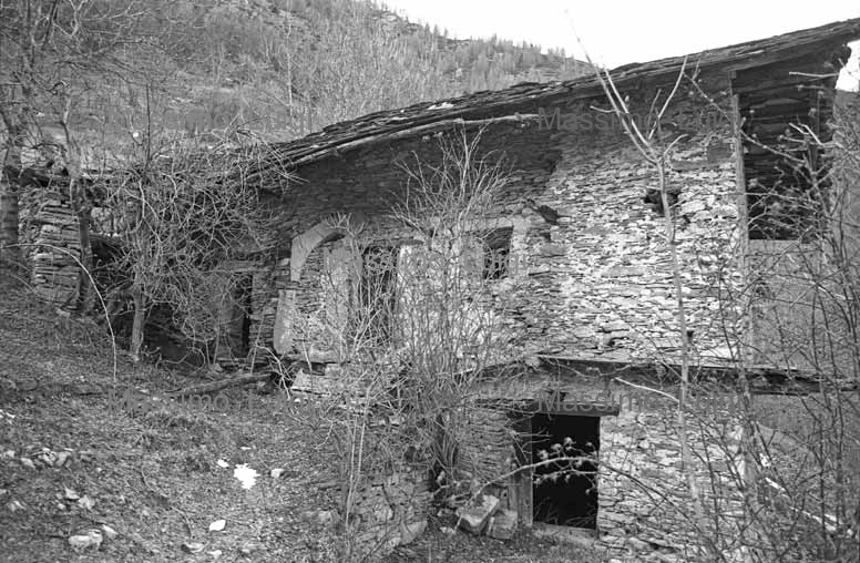 GARZINO
