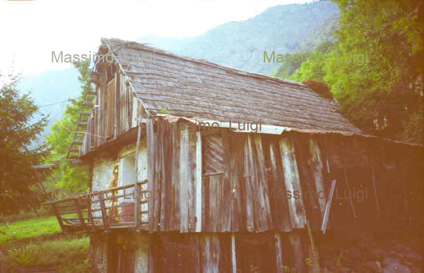 TETTI DI TROCELLO