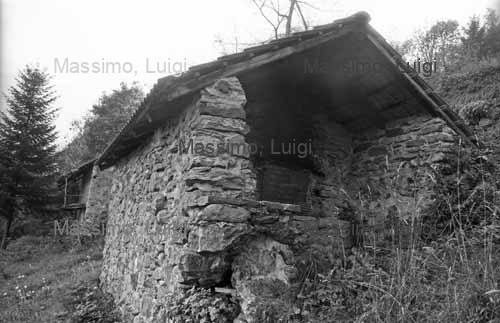 TETTO LUISET