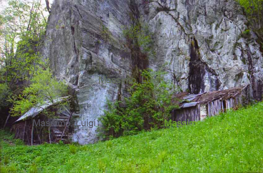 TETTO DALMAS