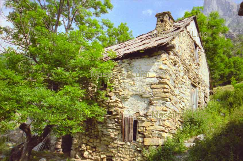 VILLARD D'ABAS LE VERGER
