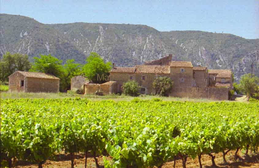 MENERBES - OPPEDE