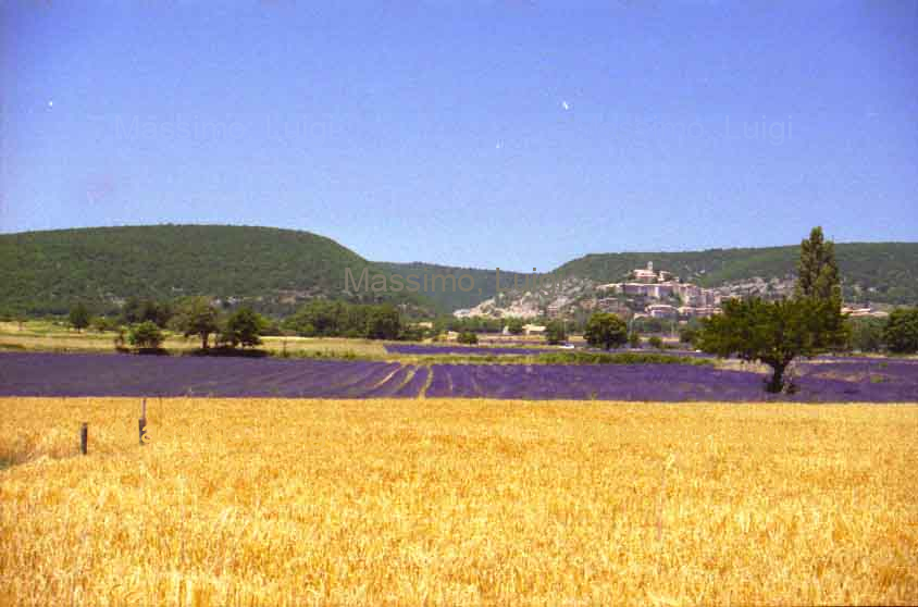 BANON